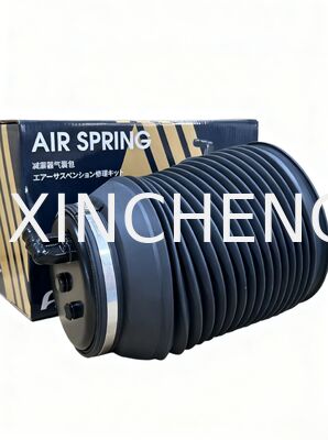 comprare SAKT-5003 Airbag ammortizzatore OE AISIN per sistema di sospensione GRJ150 online manufacture